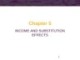 Chapter 5: Income and substitution effects