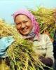 Giáo trình Kỹ thuật nông nghiệp: Phần 1 - ĐH Kinh tế Quốc Dân