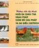 Ebook Hướng dẫn kỹ thuật nuôi gà chăn thả ngan Pháp, chim bồ câu Pháp và đà điểu (Ostrich): Phần 1