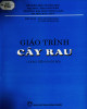 Giáo trình Cây rau: Phần 2