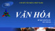 Bài giảng Cơ sở văn hóa Việt Nam - TS. Bùi Quang Xuân