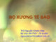 Bài giảng Bộ xương tế bào - ThS. Nguyễn Khánh Hòa