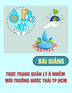 Bài giảng Thực trạng quản lý ô nhiễm môi trường nước thải TP.HCM